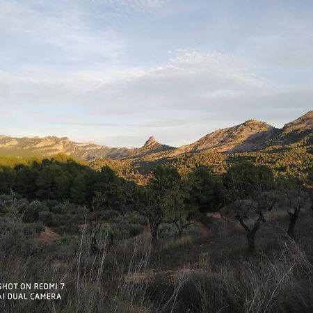 Ca L'Aurora Διαμέρισμα Bot Εξωτερικό φωτογραφία